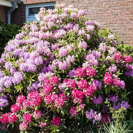 Haus Szameit, Whg 1 Lejlighed Sylt