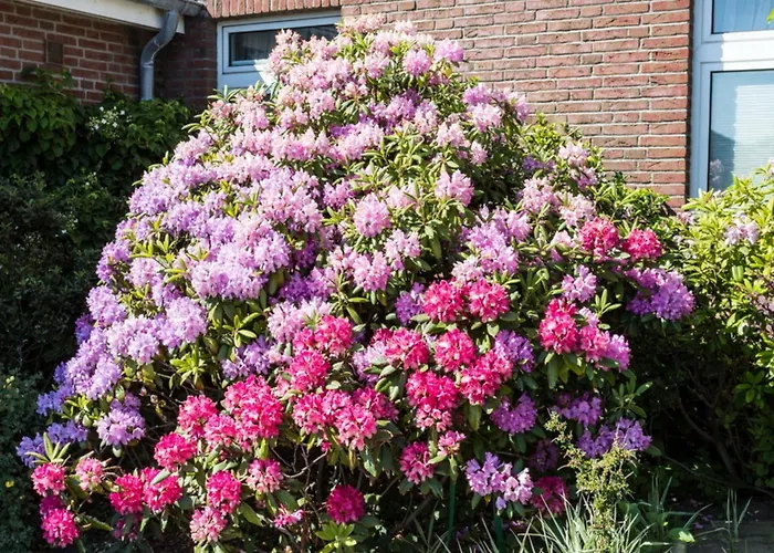 Haus Szameit, Whg 1 Lejlighed Sylt